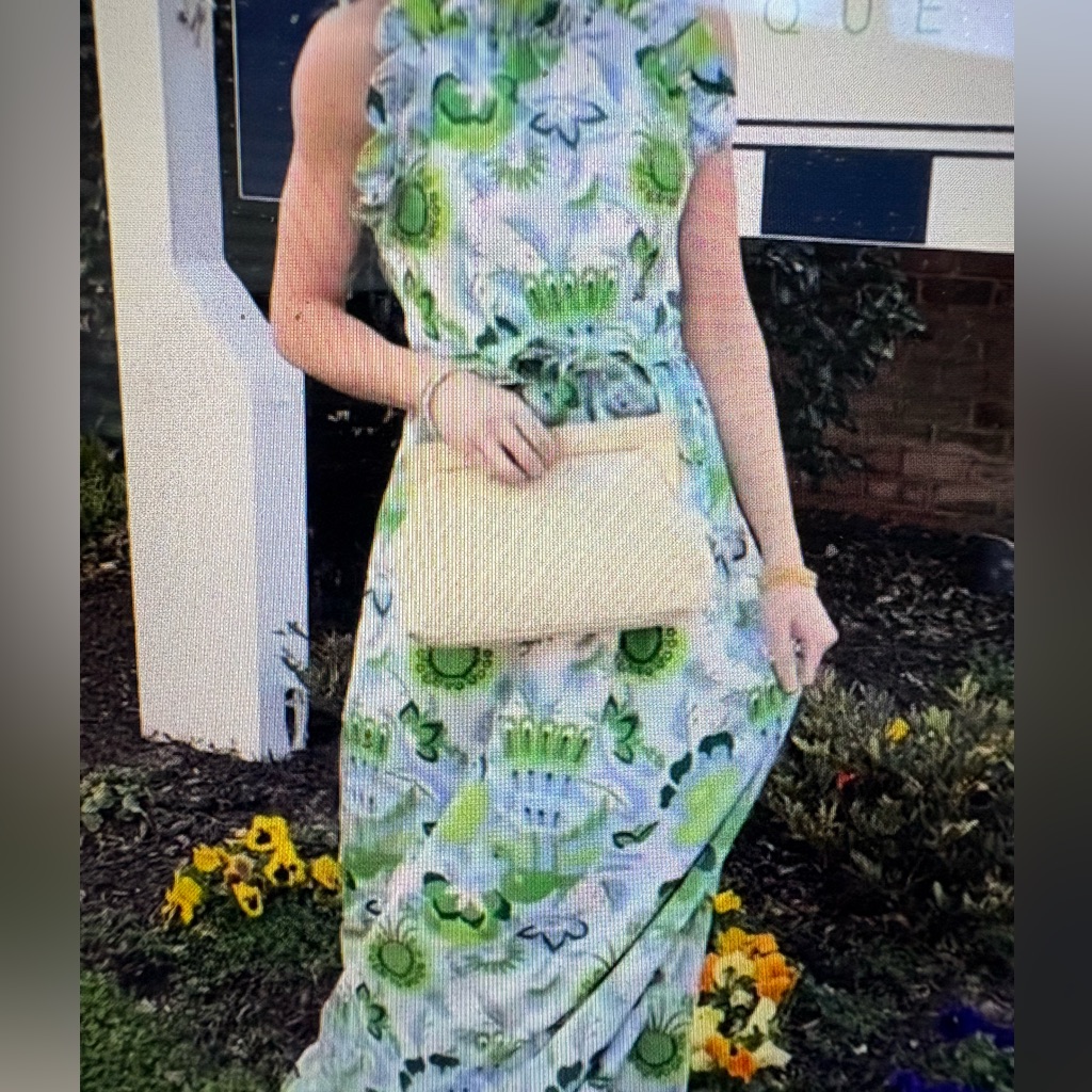 Ck Bradley Nwt Dove Maxi Dress In Falconer Cornflower